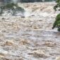 Четири жертви! Намериха тялото и на другото дете, изчезнало във водите на р. Струма